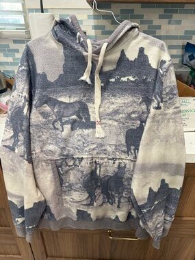 BDG Urban Outfitters Men's Hooded Pullover Sweatshirt